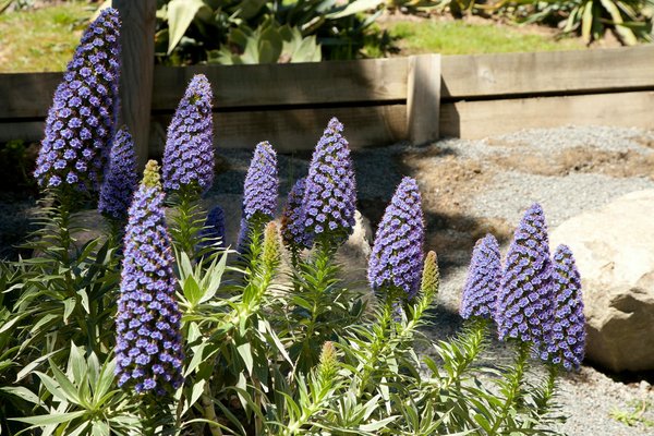 Comprendre l'immobilier d'entreprise en France