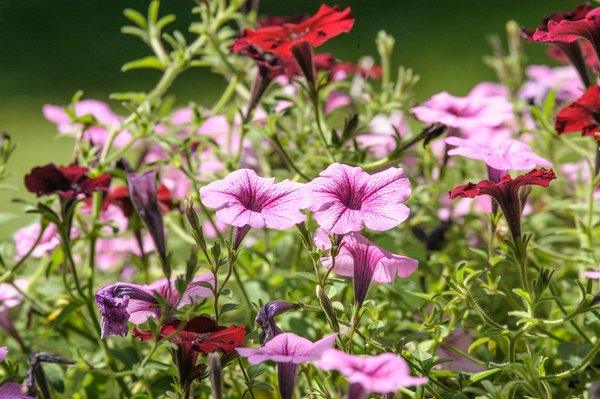 Quelles sont les astuces pour déménager en hiver sans souffrir du froid ?